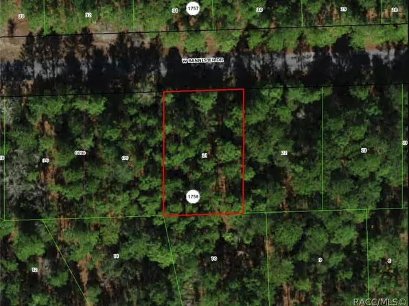 910 W Bannister Dr, Citrus Springs, FL 34434