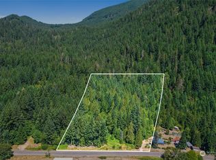 969 Silverbrook Rd, Randle, WA 98377
