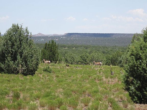 2nd image of Mustang Ln