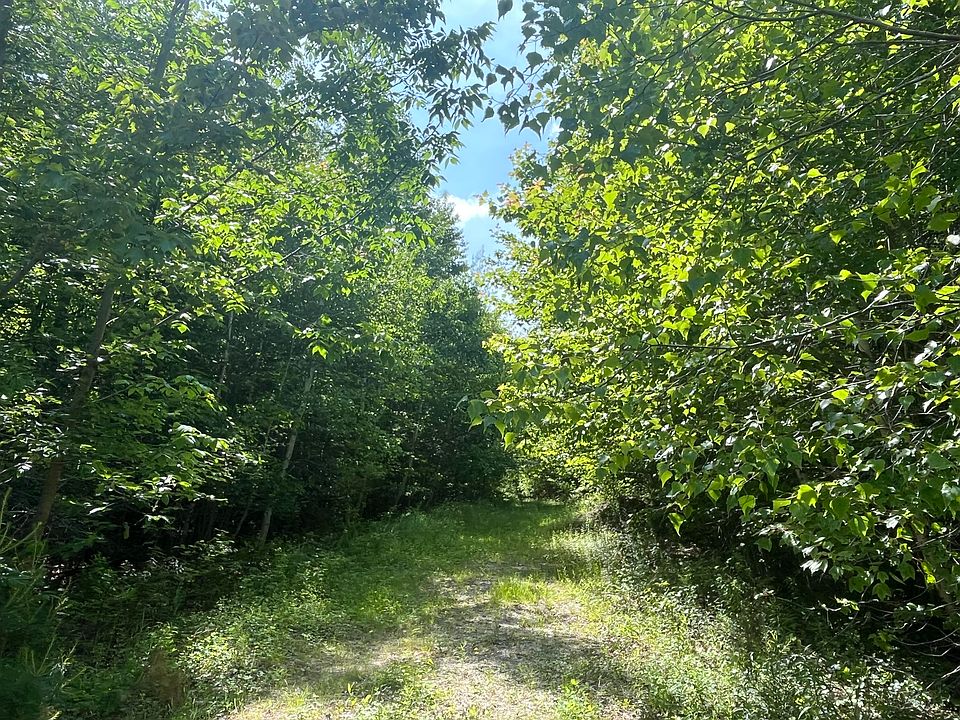 2nd image of Lot 7 Nicolin Road