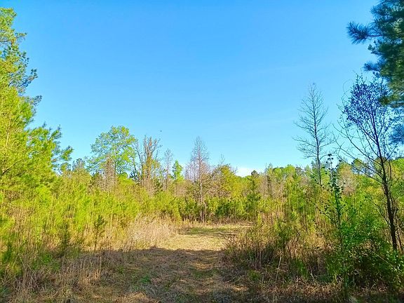 2nd image of 521 W Deer Rd