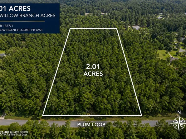 95289 PLUM Loop, Fernandina Beach, FL 32034