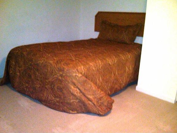 Basement Bedroom 188sf/$1