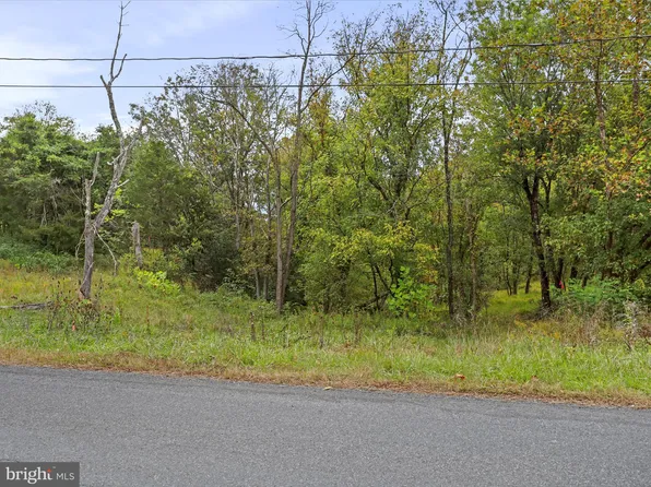 Andrews Rd, Strasburg, VA 22657