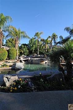 Tropical Rear Yard