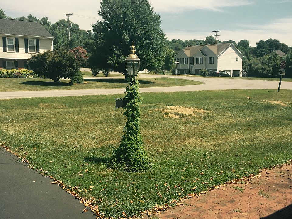 1st image of 17 Harvest Ln