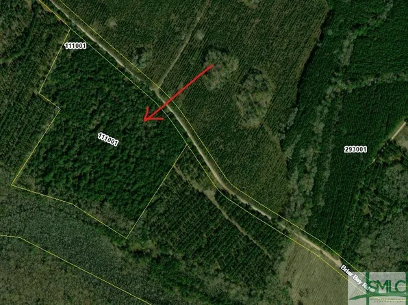 25.46 Acres Briar Bay Road, Riceboro, GA 31323
