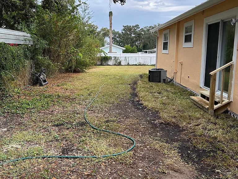 back yard