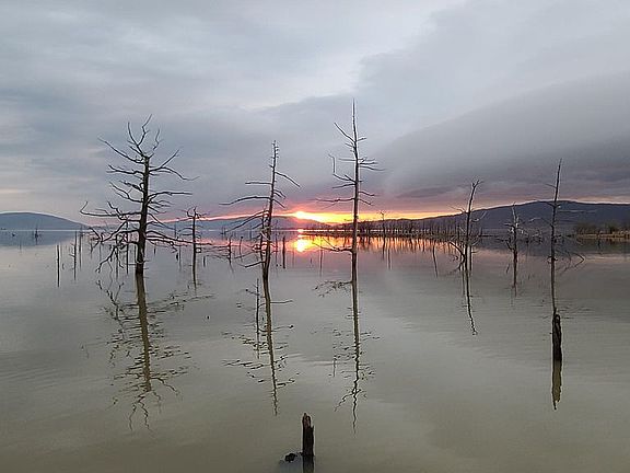 Sardis Lake