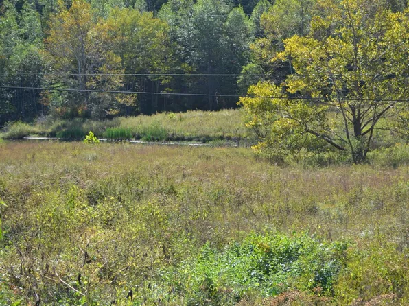 9999 Teges Creek Rd, Manchester, KY 40962