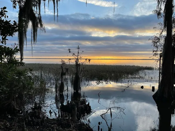 Insim Ln, Leesburg, FL 34788