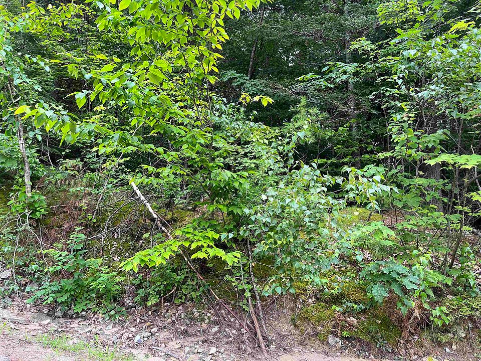 lot 76 Franconia Drive, New Durham, NH 03855 Zillow