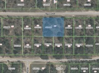 217 Cypress St, Interlachen, FL 32148