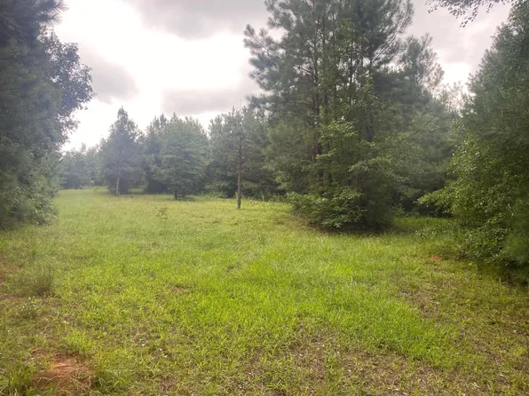 LOT 1 DOZIER Road, Norwood, GA 30821