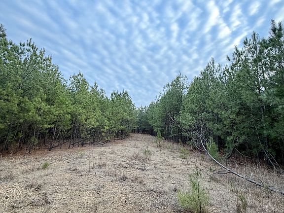 6th image of 1 Roan Creek Rd