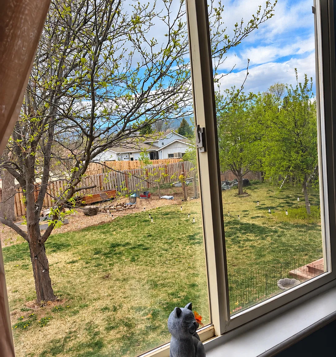 3 bed, 1534 sqft, $1,250 — Photo 4