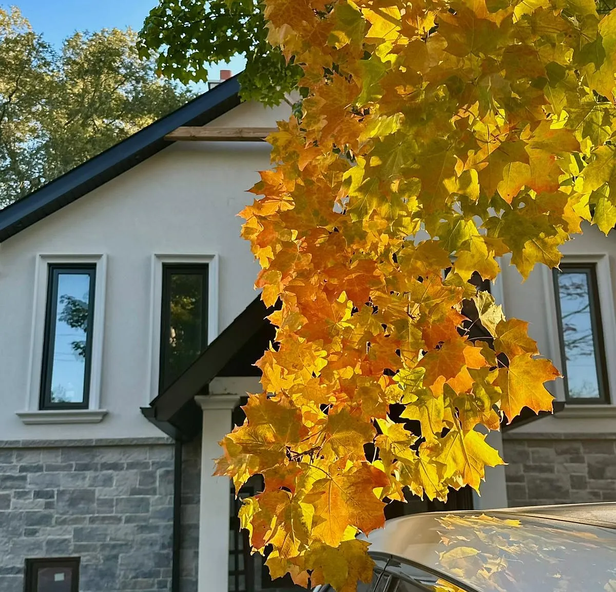1 bed, $1,150 — Photo 2