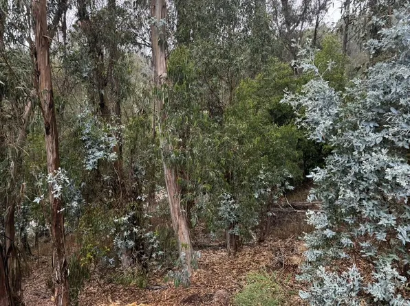 6567 Thornhill Dr, Oakland, CA 94611