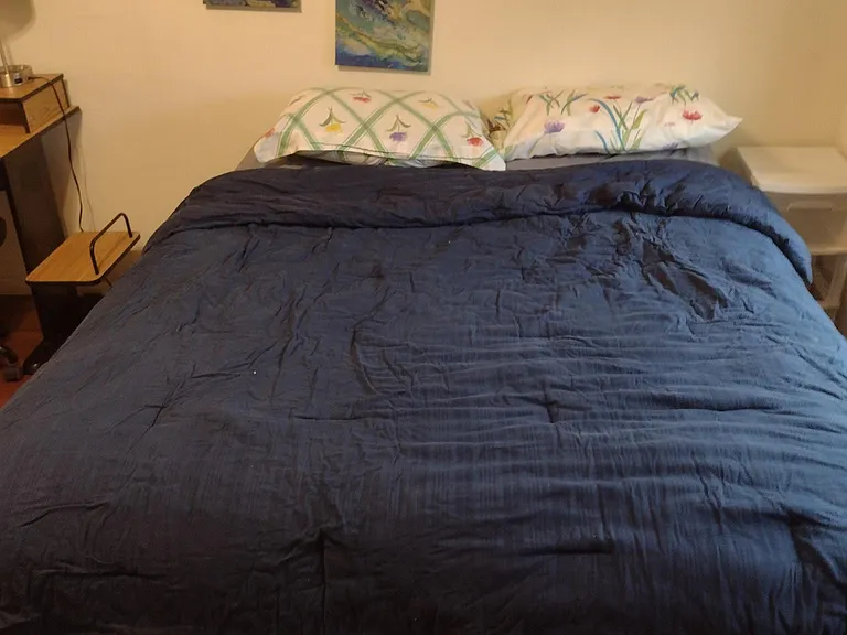 Bedroom #2 bed and paintings