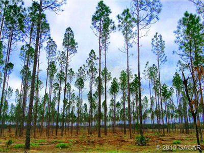 1 NE 130 Ave, Archer, FL, 32618