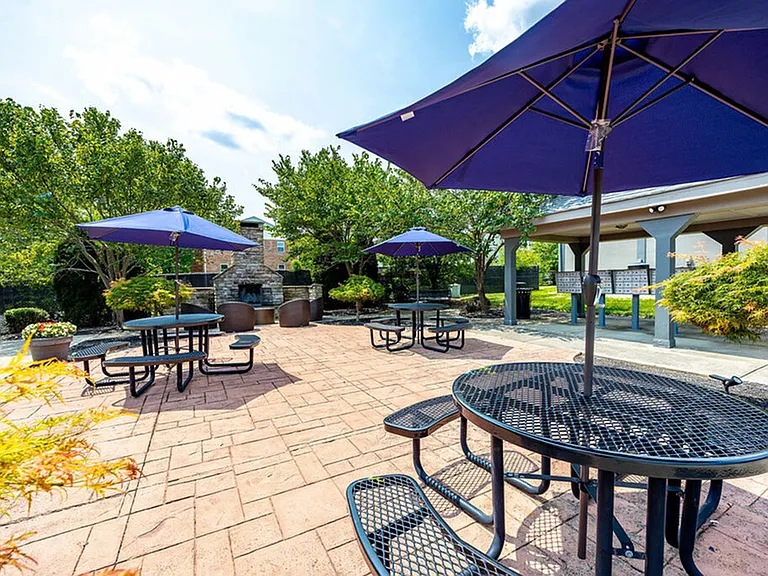 Outdoor picnic area at The Commons Student Apartments in Oxford, OH
