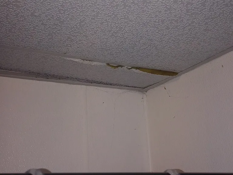 511 Jackson St — Photo 2