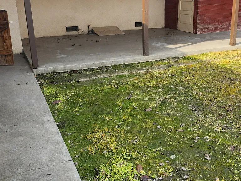1260 S Klein Ave — Photo 21