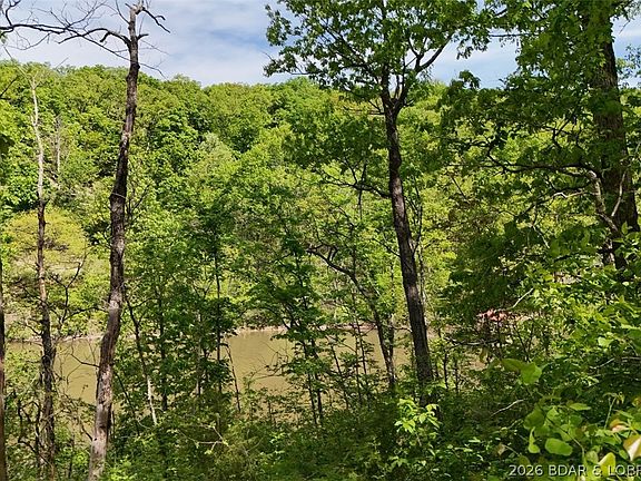 4th image of TRACT Lake Forest Estates Rd #B