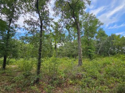 LOT 13 119th Dr, O'Brien, FL, 32071