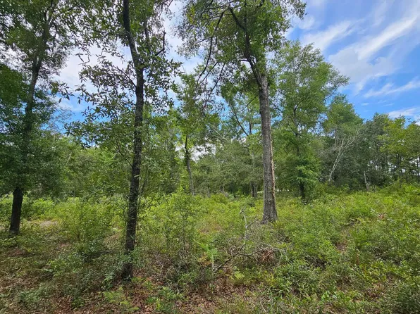 LOT 13 119th Dr, O'Brien, FL 32071