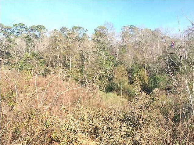 2nd image of 9300 Creek Ct