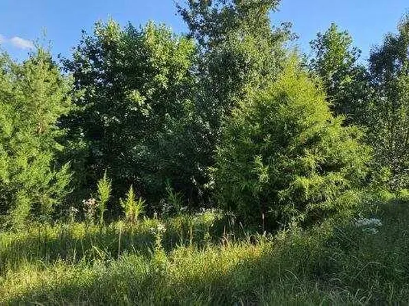 561 Bluff View Dr, Dunlap, TN 37327
