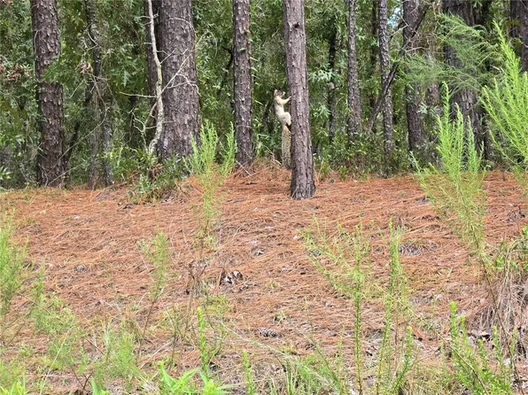 SW 76TH LANE LOT 6, DUNNELLON, FL 34432