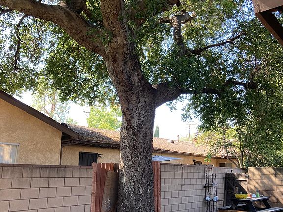 Picnic table in the northwest corner of the yard