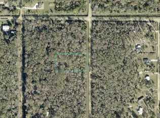 10625 Turpin Ave, Hastings, FL 32145