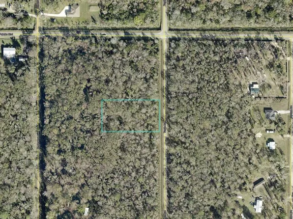 10625 Turpin Ave, Hastings, FL 32145