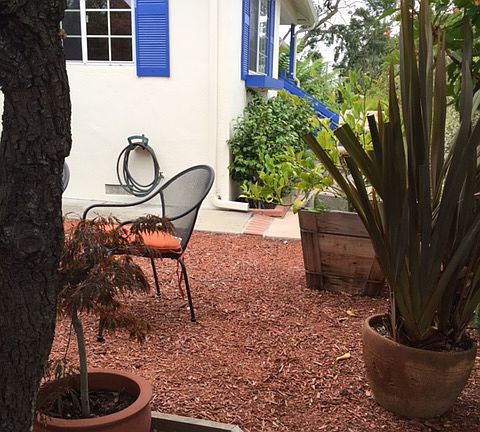 garden--side of house