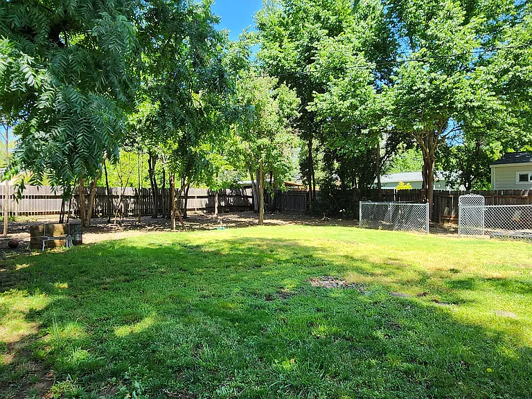 HUGE BACKYARD