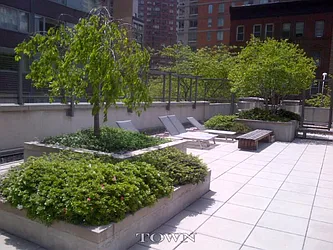 Rented by Town Residential