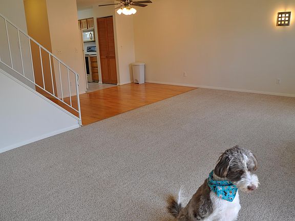 Living and dining area
