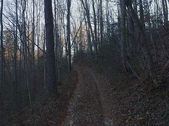 3rd image of 314 Hickey Rd Lot 2