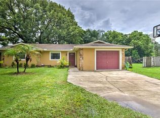 1811 Pine St, Valrico, FL 33594