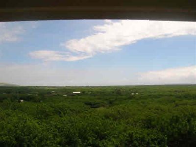 936353 Pua St, Naalehu, HI, 96772