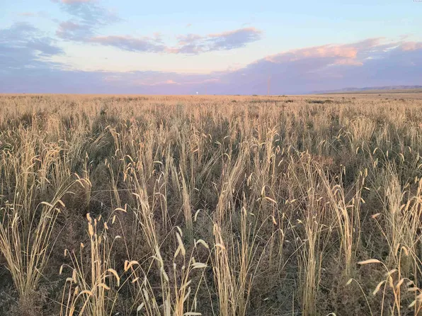 Nka Crosby Rd, Prosser, WA 99350