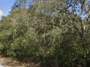 0 Little Stone Dr LOT 4, Webster, FL 33597