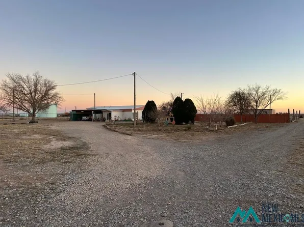452 Petree Rd, Hagerman, NM 88232