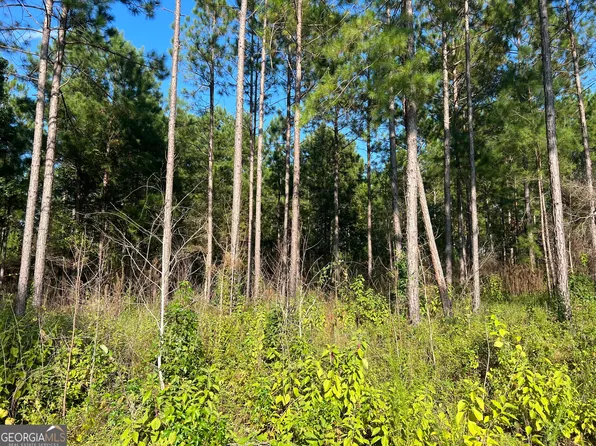 5306 Highway 262, Pelham, GA 31779