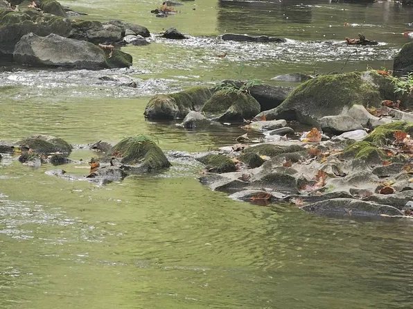 0 Willow Bend Rd, Union, WV 24983