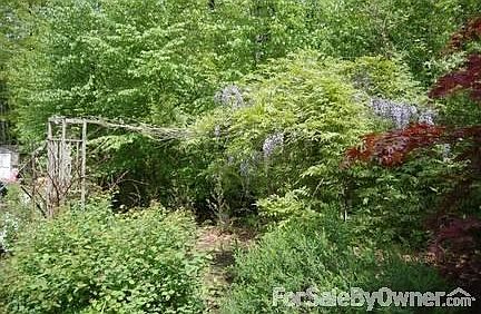 Side yard
