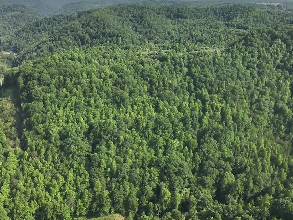 2nd image of 0 Big Branch Rd